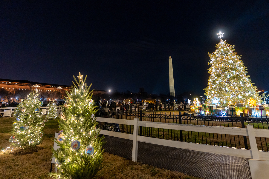 The Best Holiday Events & Light Displays in DC